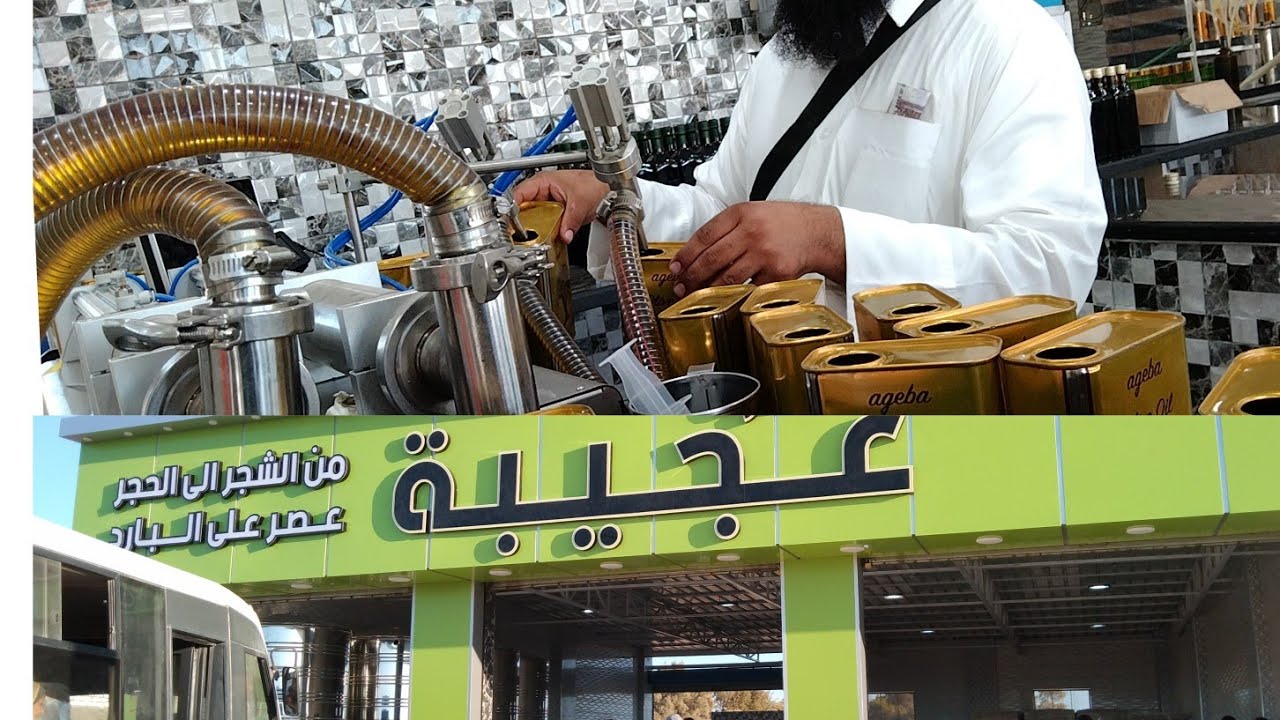 افضل معصره لزيت الزيتون معصره عجيبه مرسي مطروح من الشجر للحجر 🫒