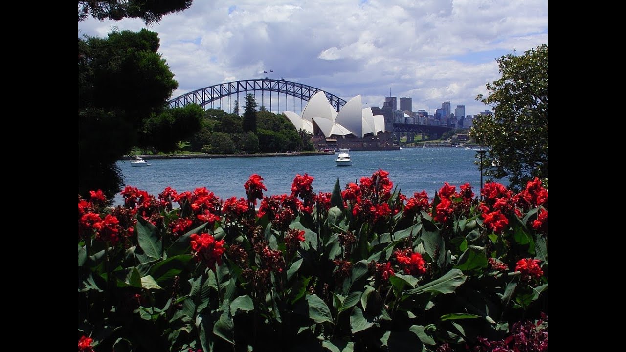 Sydney Royal Botanic Garden Tour