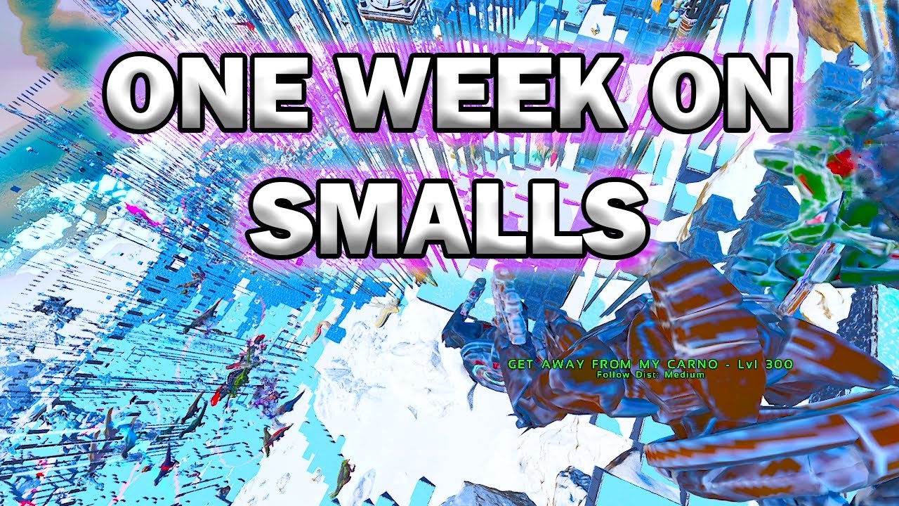 What One Week On SMALLS As An ALPHA Tribe Looks Like