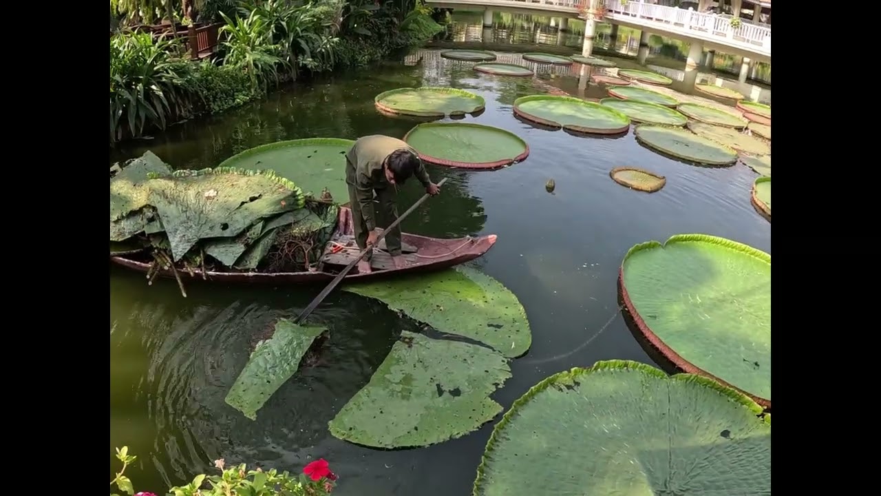 les jardins du Sofitel de Siem Reap