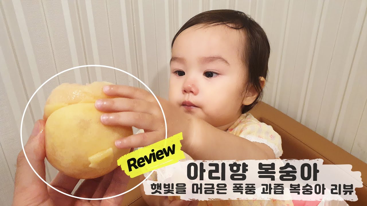 비카남편 X 아리향｜과즙이 흘러넘치는 역대급 달콤한 복숭아 리뷰 :D｜자막