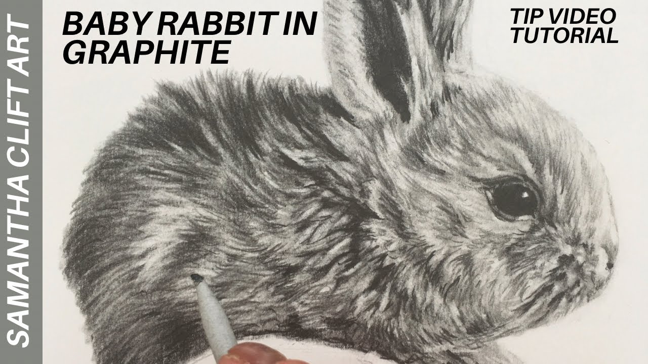 HOW TO draw a Baby Rabbit in Graphite Pencil - Graphite TUTORIAL | Samantha Clift Art