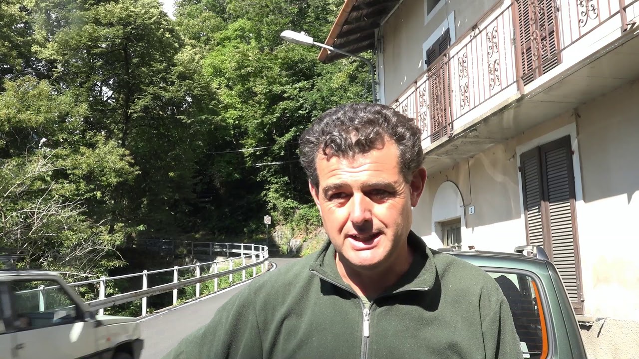 semina trotelle fario in Val Rezzo e Val Cavargna