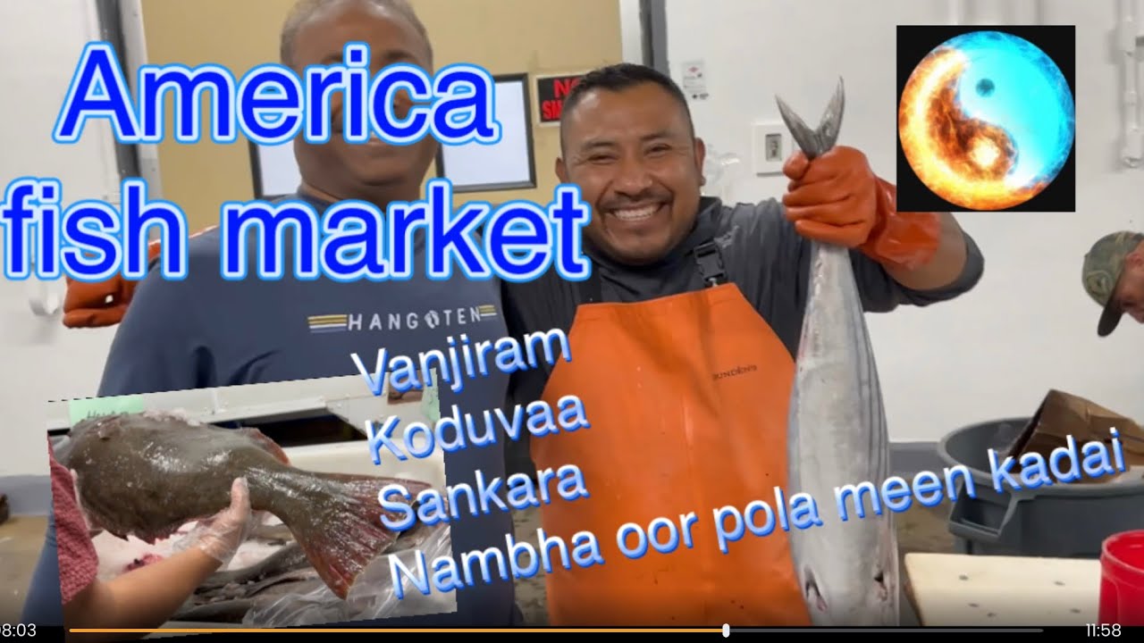 அமெரிக்கா மீன் market போலாம் வாங்க | #fishmarket #indian2 #usatamilvlog #americatamil #chennaitousa