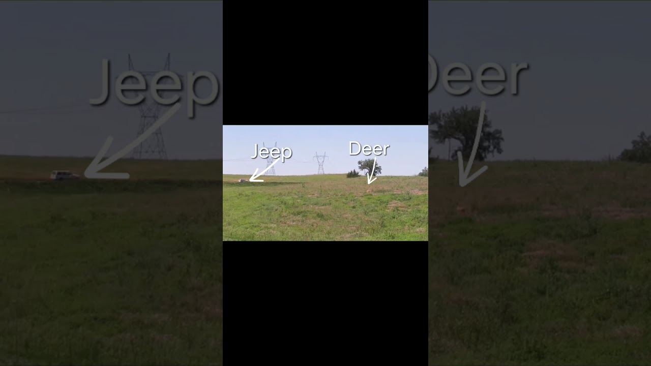 A Hunter's Careless Mistake?? Can you figure out the issue? #Huntsmart
