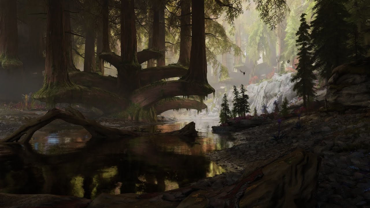 Pandora Ambience ┃ Clouded Forest ┃Sleep, Relax, Study, Meditate