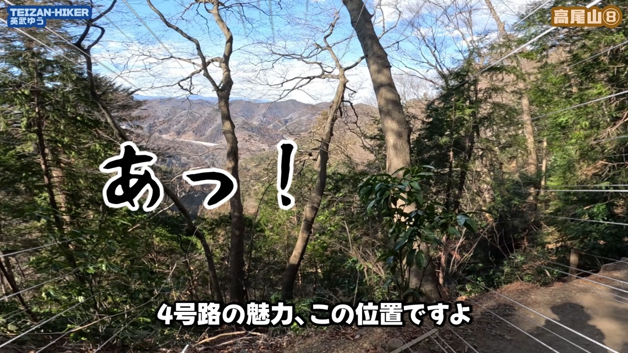 【高尾山⑧】4号路は「静か」だった。6号路と何が違う？