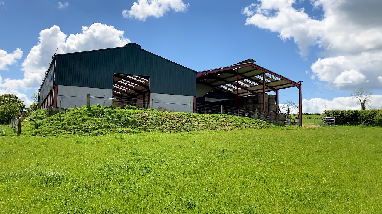 Buildings Focus: A grant-spec sheep shed for a 300-ewe flock in Co. Cavan