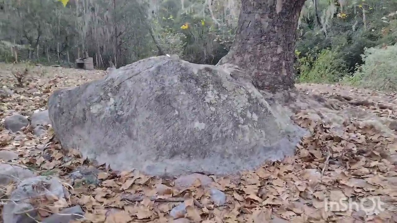 Ruta el aguacatal