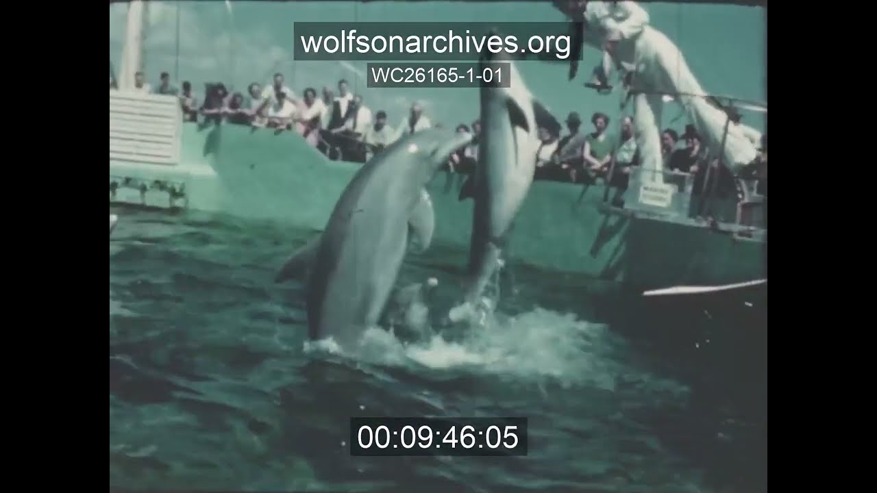 WC26165: SALT WATER WONDERLAND
