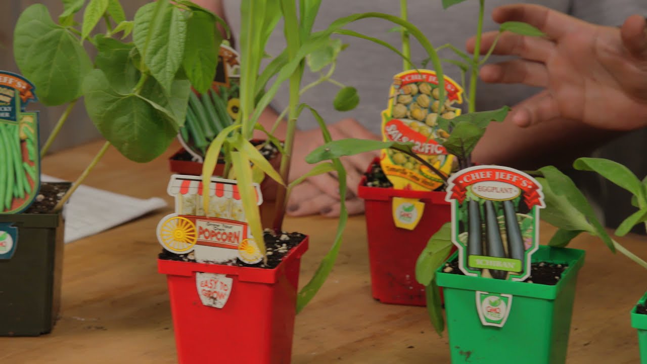 Warm Weather Vegetable Gardening