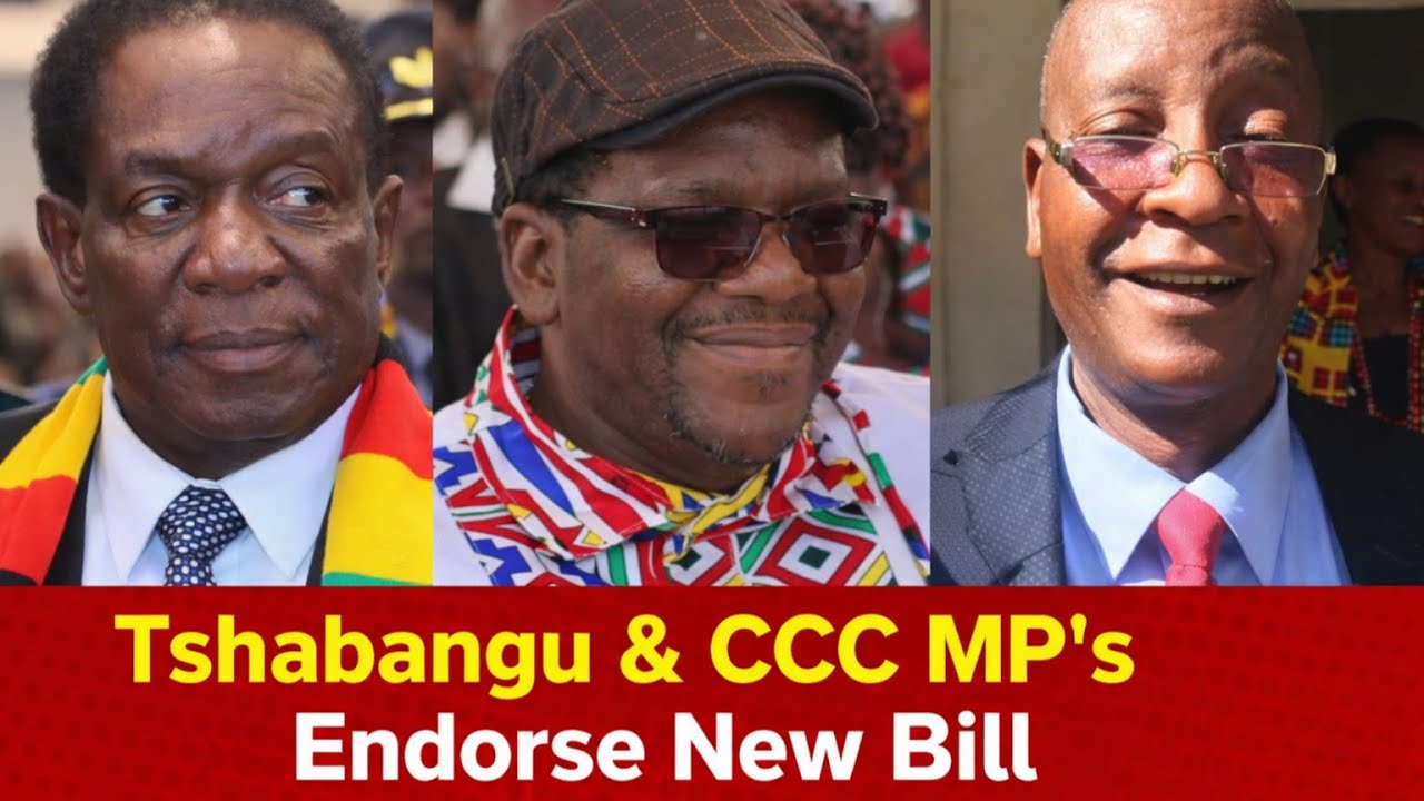 BREAKING: Tshabangu and 70 MPs Agree to Back Constitutional Amendment Proposal