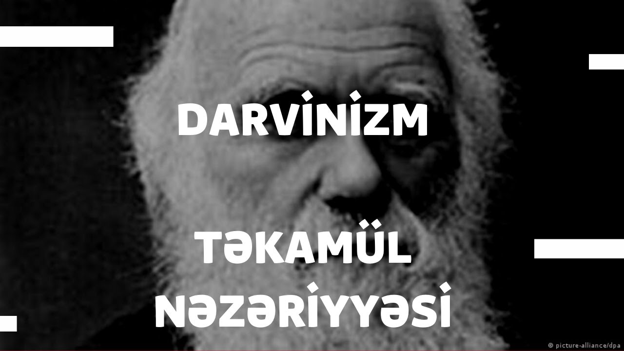 Darvinizm, Təkamül Nəzəriyyəsi  - 