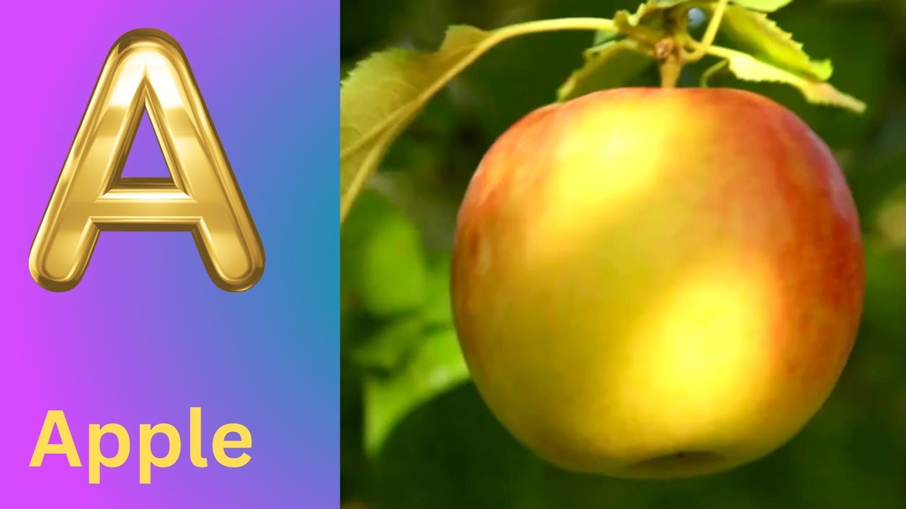 ABC Phonics Song | Alphabet letter sounds | ABC learning for toddlers | Education ABC Nursery Rhymes