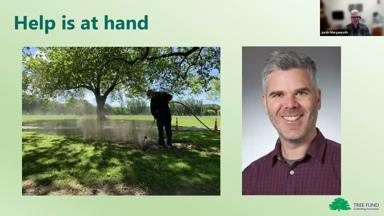 Optimizing Tree Responses to Root Pruning in Mature Trees... TREE Fund Webinar