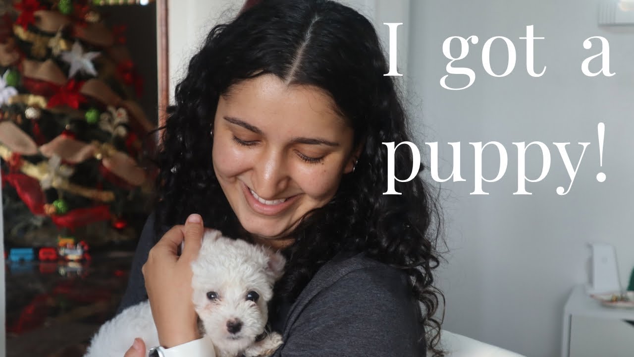 My First Day With My Puppy 🐶 | Soft, Slow & So Sweet