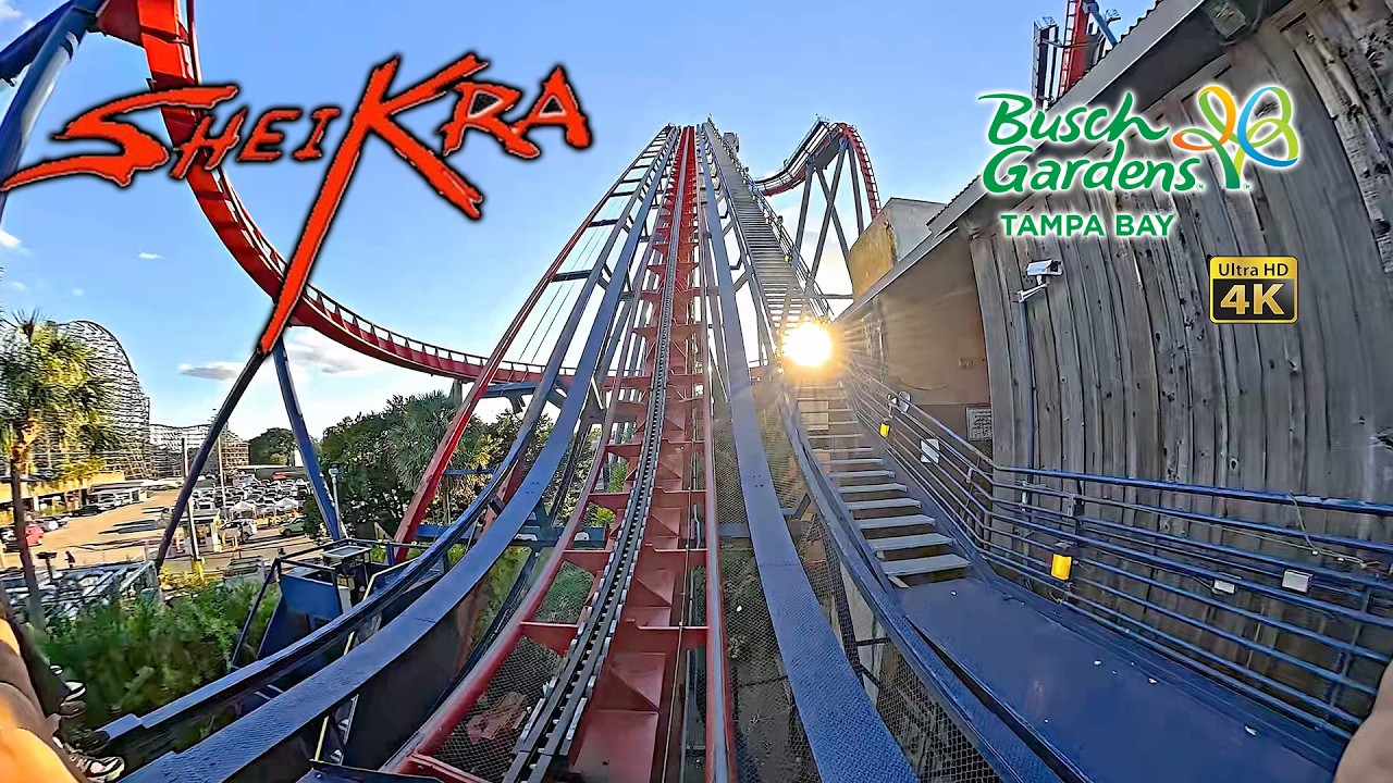 Американские горки Sheikra: вид с первого ряда, 4K, Busch Gardens Tampa, 2025, 10:16