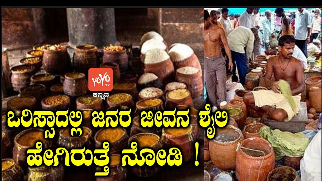 ಒರಿಸ್ಸಾದಲ್ಲಿ ಜನರ ಜೀವನ ಶೈಲಿ ಹೇಗಿರುತ್ತೆ ನೋಡಿ! | Interesting Facts about Odisha Kannada | YOYOTVKannada