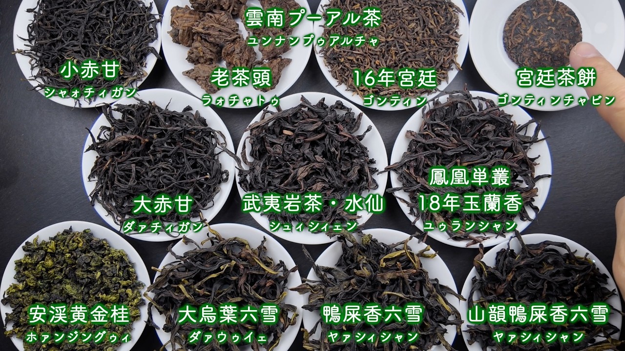 【プロ視点で解説】2026年2月 中国茶OMAKASE11種類の茶葉を一つずつ紹介しました！【中国茶・中国上海】中国茶専門店