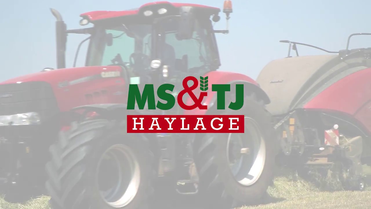 MS&TJ Testimonial