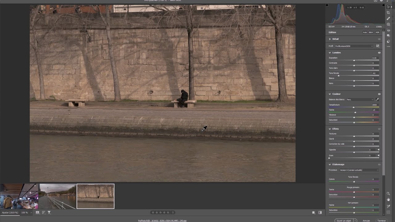 Balance des Blancs dans Camera Raw