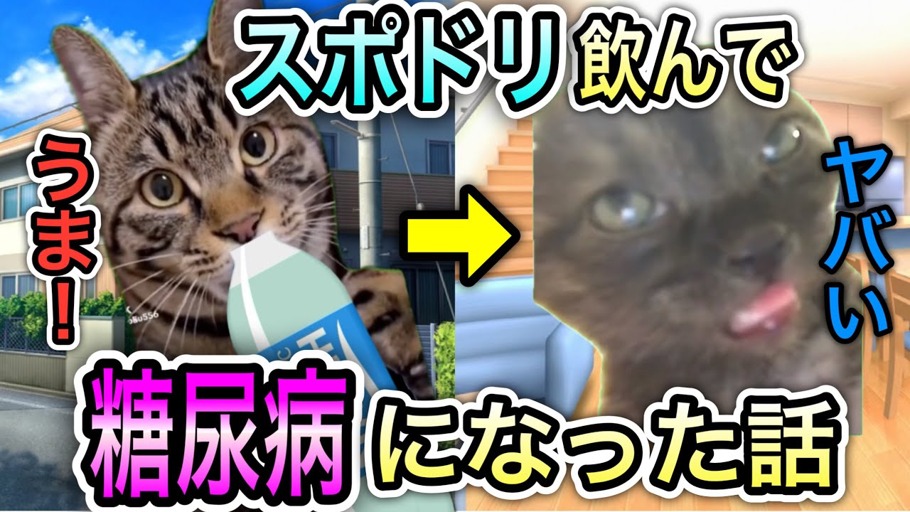 【ペットボトル症候群】スポーツドリンクで糖尿病になった話 #猫ミーム