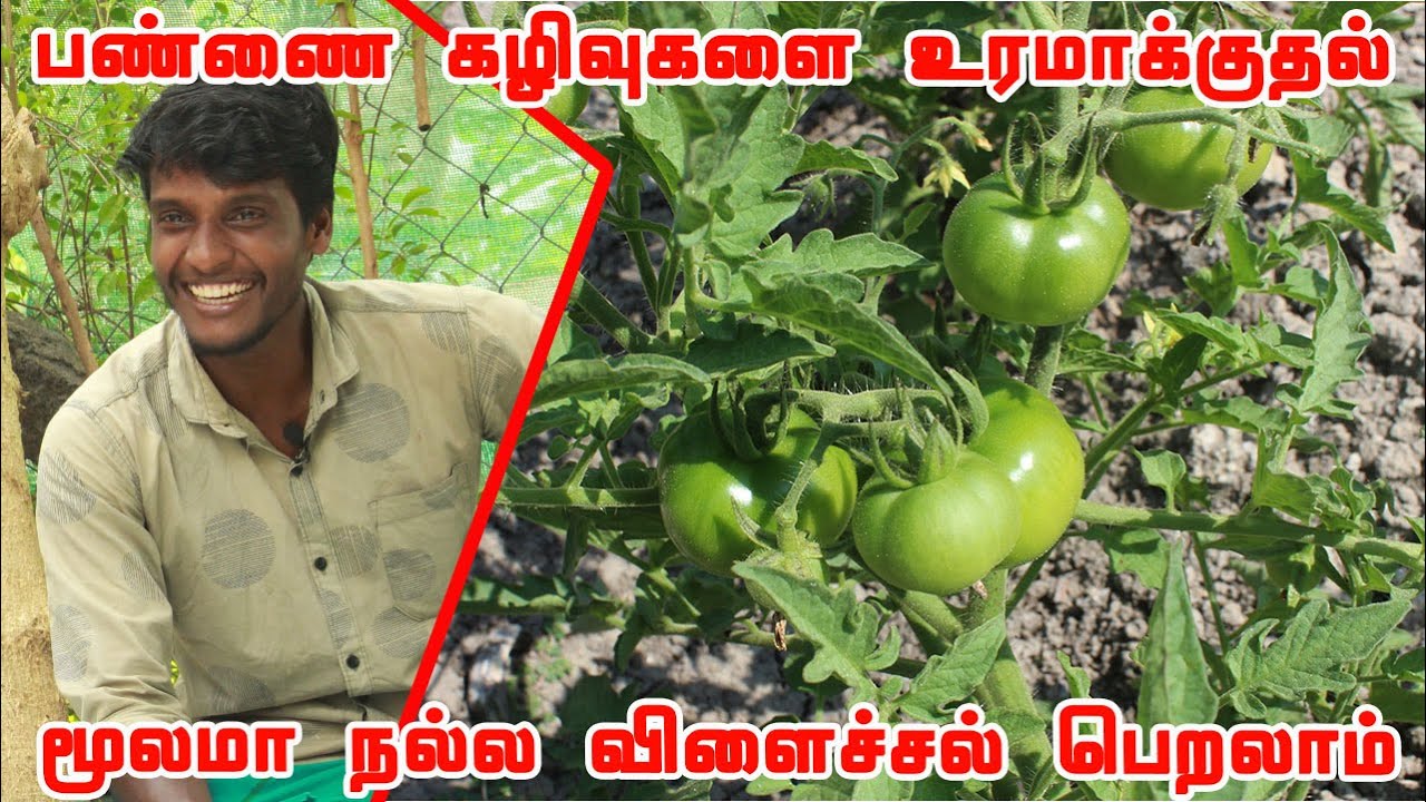 பண்ணைக் கழிவுகள்,மூடாக்கு முறைகள் பயிர் வளர்ச்சிக்கு பயன்படுமா? உழுது உண் சுந்தர் | Uzhudu Un Sundar