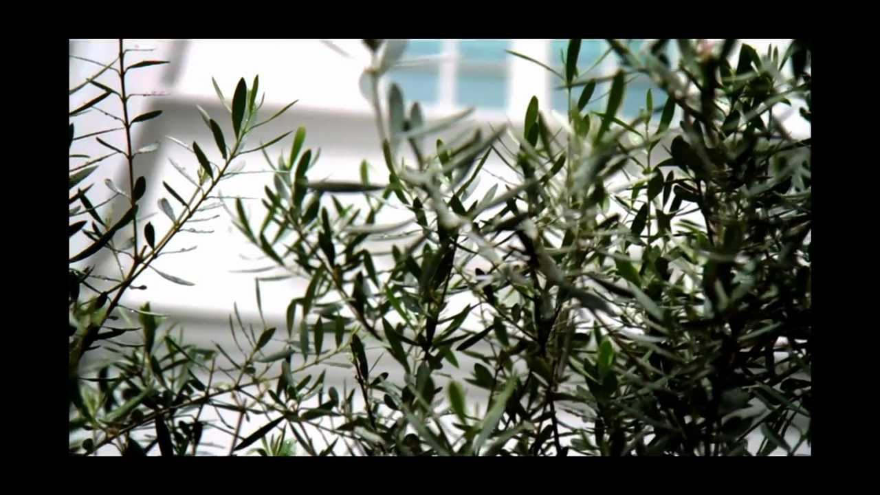 Octaphilosophy Experience by Chef Andre Chiang - Restaurant ANDRE
