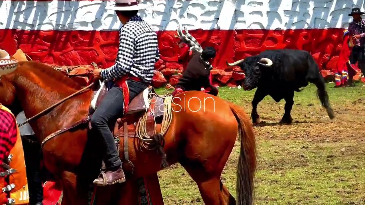 corrida de toros livitaca tradicional  completo 2024        yawar fiesta  para el mundo entero