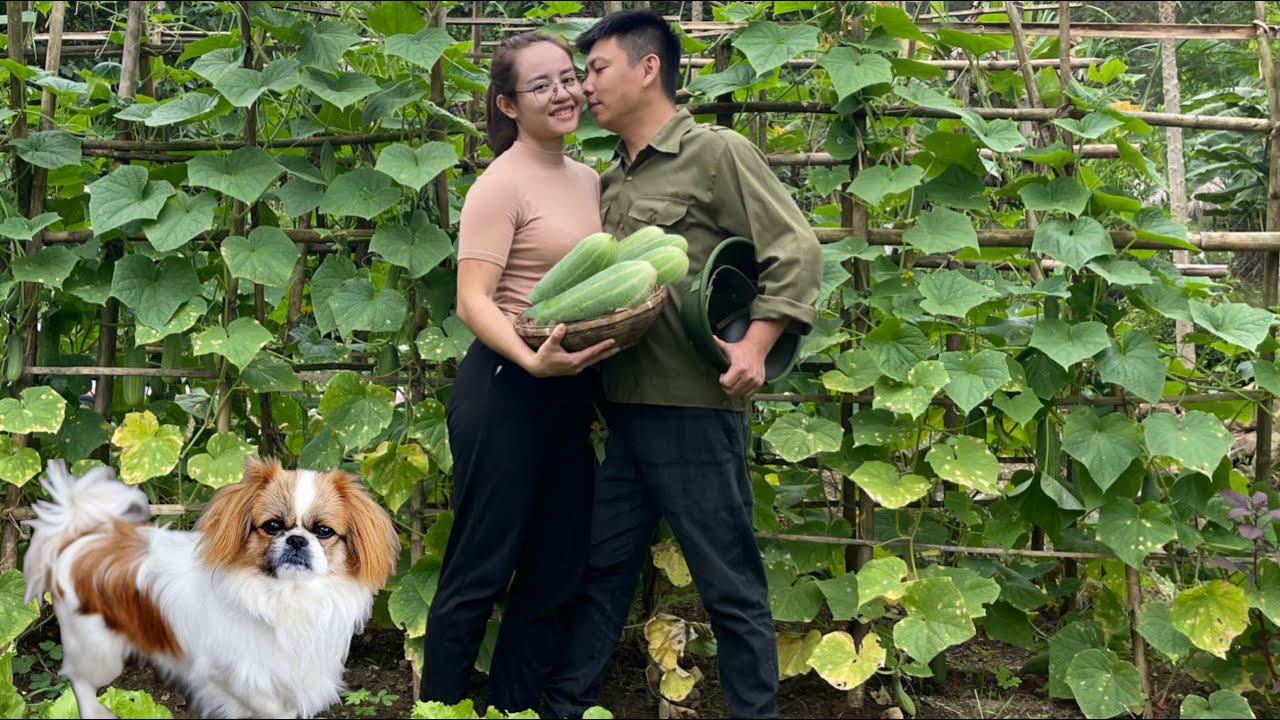 Cook stove-roasted pork with her husband, sell papaya at the garden