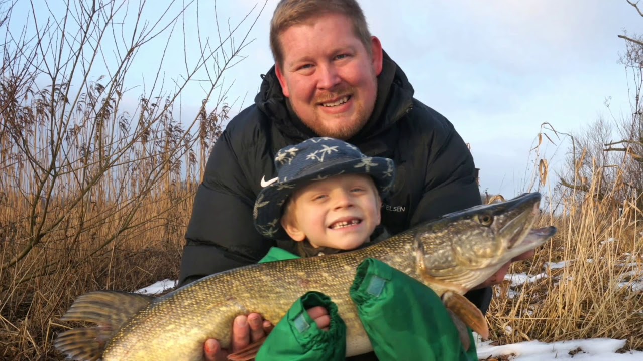 Geddefiskeri fra land med død agn. // Pikefishing with deadbait.