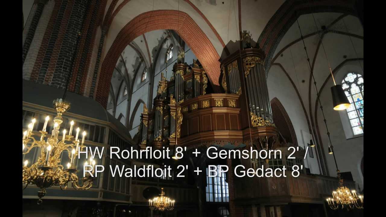 Norden Arp Schnitger organ subtitled demonstration of stops  - Thiemo Janssen presents the ranks