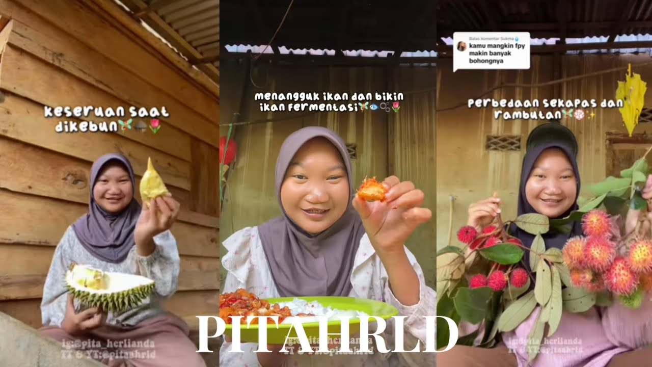 KOMPILASI TOKTOK PITAHRLD MAKAN DAN BERKEBUN |🍄‍🟫🍛