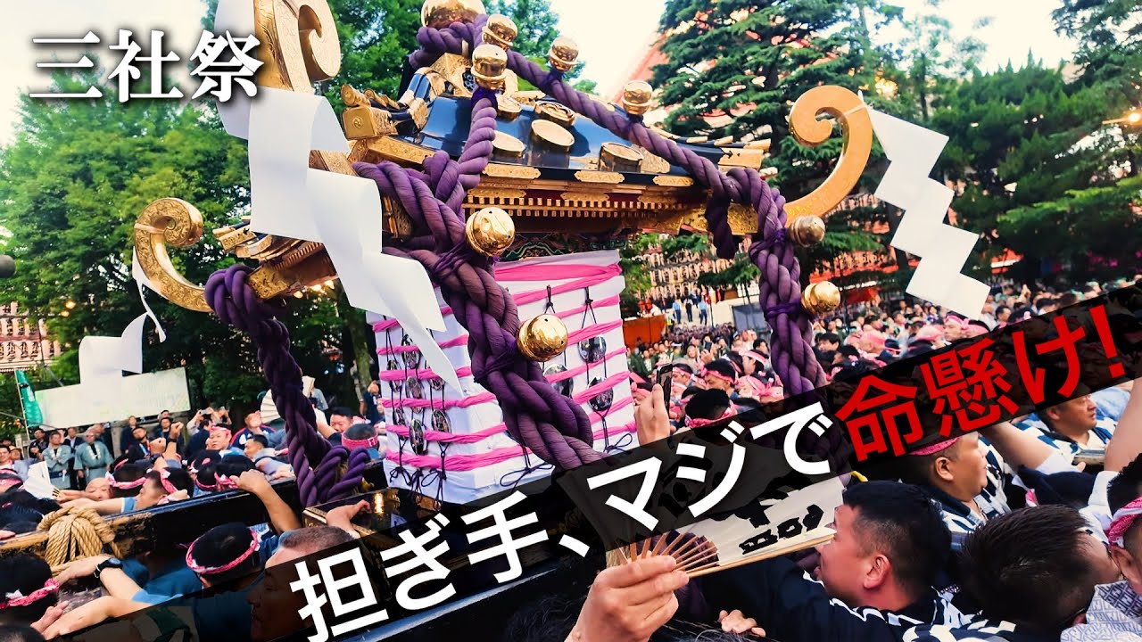 【超貴重】三社祭「宮出し」初担ぎ！本社神輿を自撮りで体験