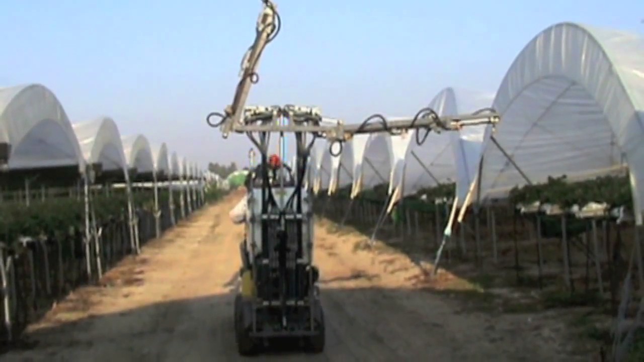 For Commerical  Strawberry High Tunnel Growers