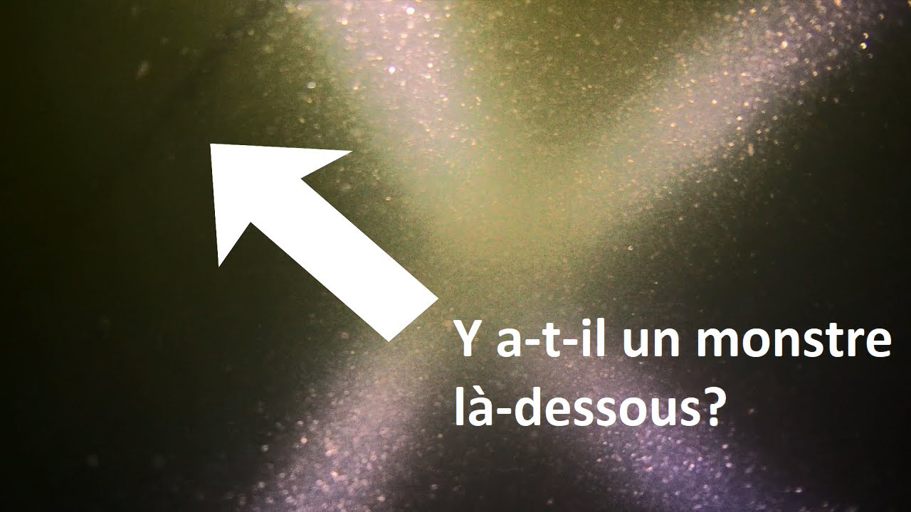 y a-t-il un monstre là-dessous? (lac de pareloup) #lac  #monstre