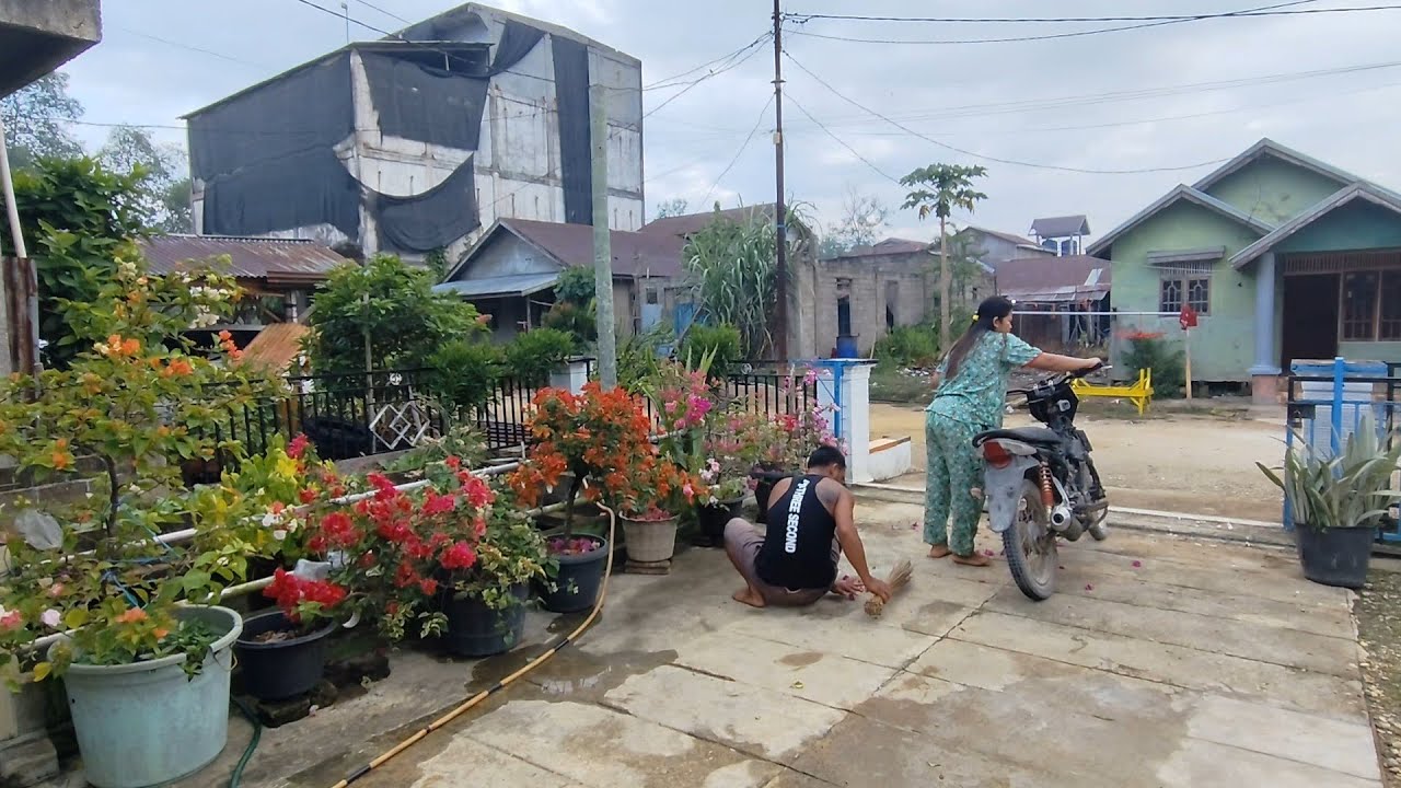 Sekali hujan turun sayuran dan Strawberry kita siap dipanen ini super lebat buahnya