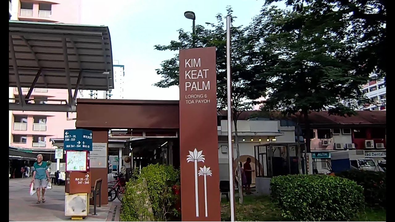 Toa Payoh Part 2 - Toa Payoh has so many Traditional Chinese medicine doctors.