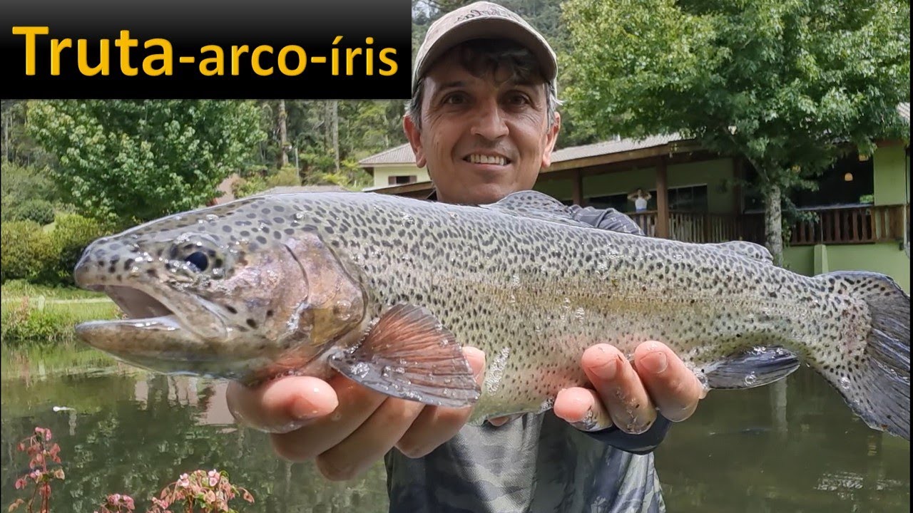 Truta-arco-íris!! O Peixe das águas Frias!!