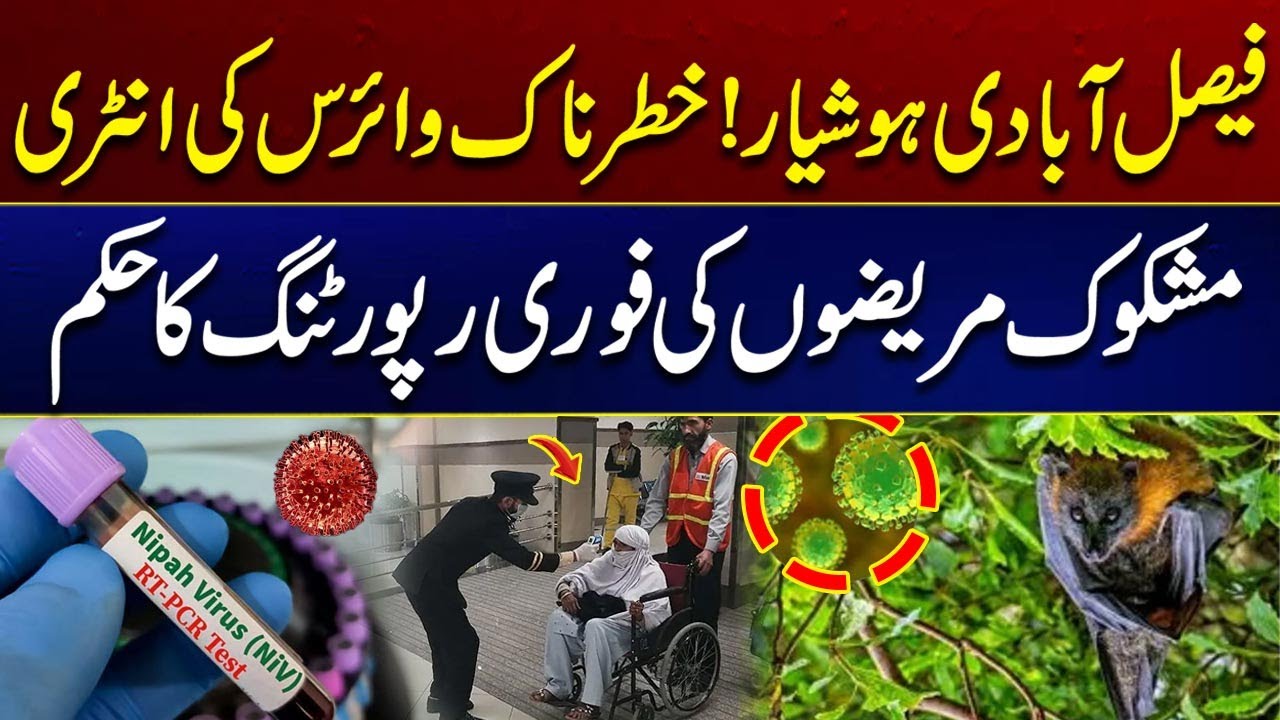 Faisalabadi Alert! Dangerous Virus Entry | Breaking News | City 41