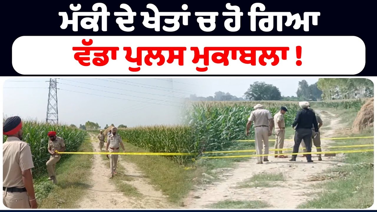 ਮੱਕੀ ਦੇ ਖੇਤਾਂ ਚ ਹੋ ਗਿਆ ਵੱਡਾ ਪੁਲਸ ਮੁਕਾਬਲਾ ! ਖੇਤਾਂ ਚ ਬਣਿਆ ਇਹ ਮਹੋਲ ਦੇਖੋ ਮੌਕੇ ਦੀ ਵੀਡੀਓ !!  Punjab News