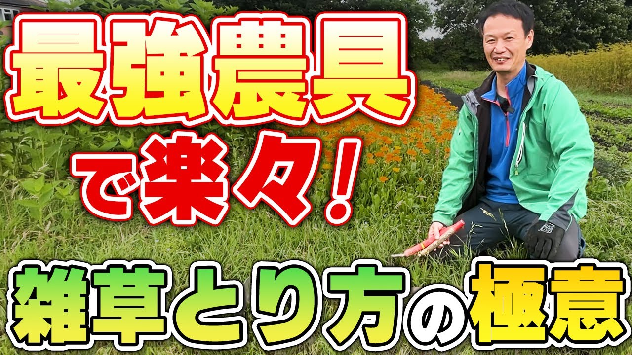 【自然栽培240】約20年愛用している最強農具紹介するよ(o^―^o)ﾆｺ　雑草の取り方で、野菜の育ちも違ってくるよ。