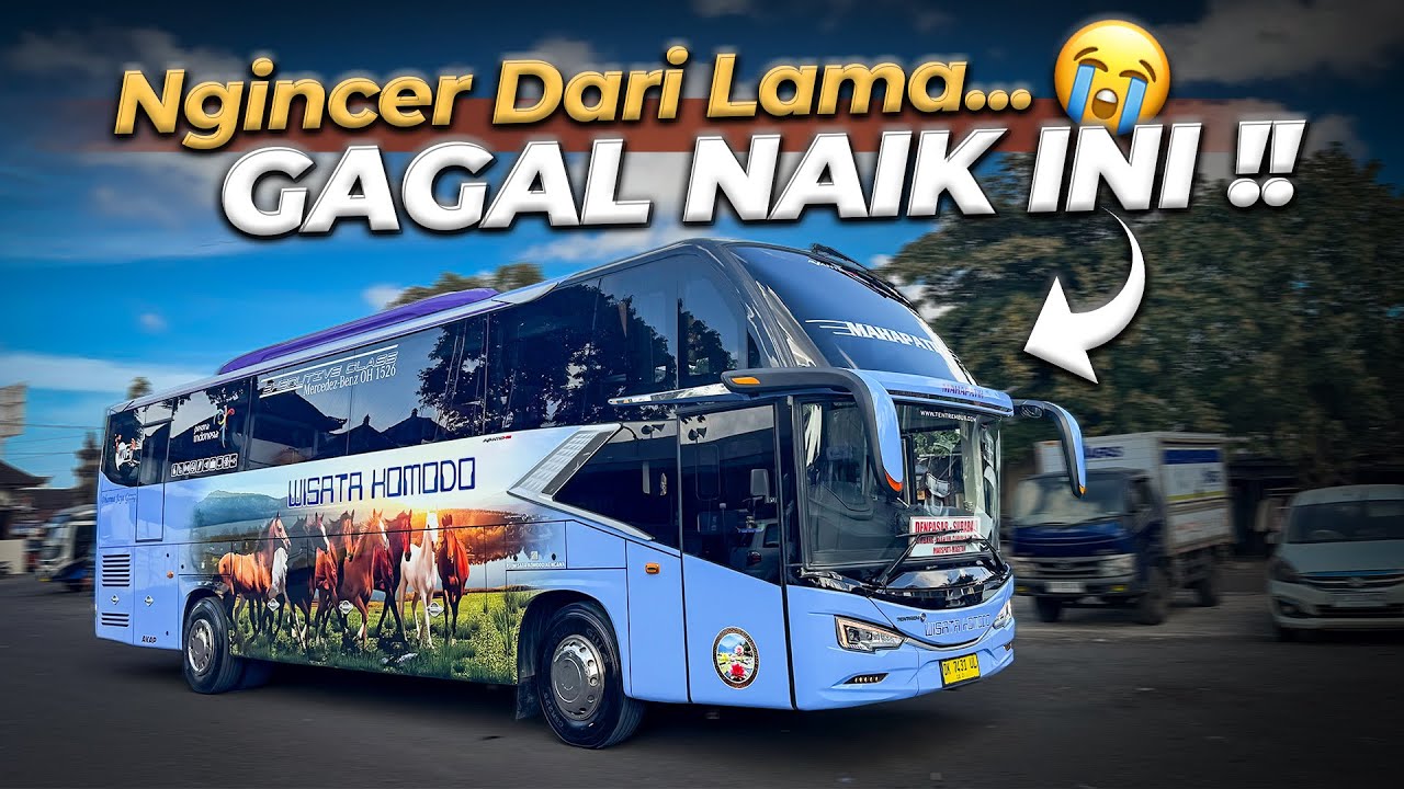Terpaksa Batal Naik Bus Wisata Komodo Terbaru Menuju Surabaya 😭