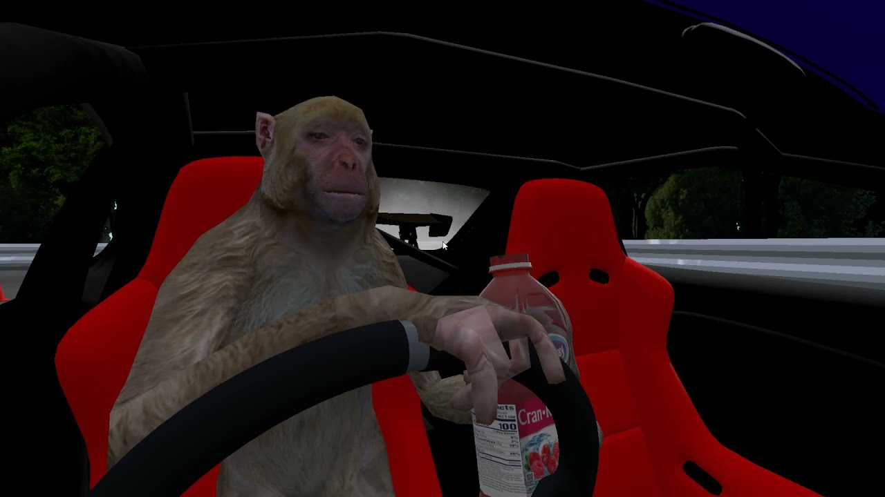 monky on ripstik