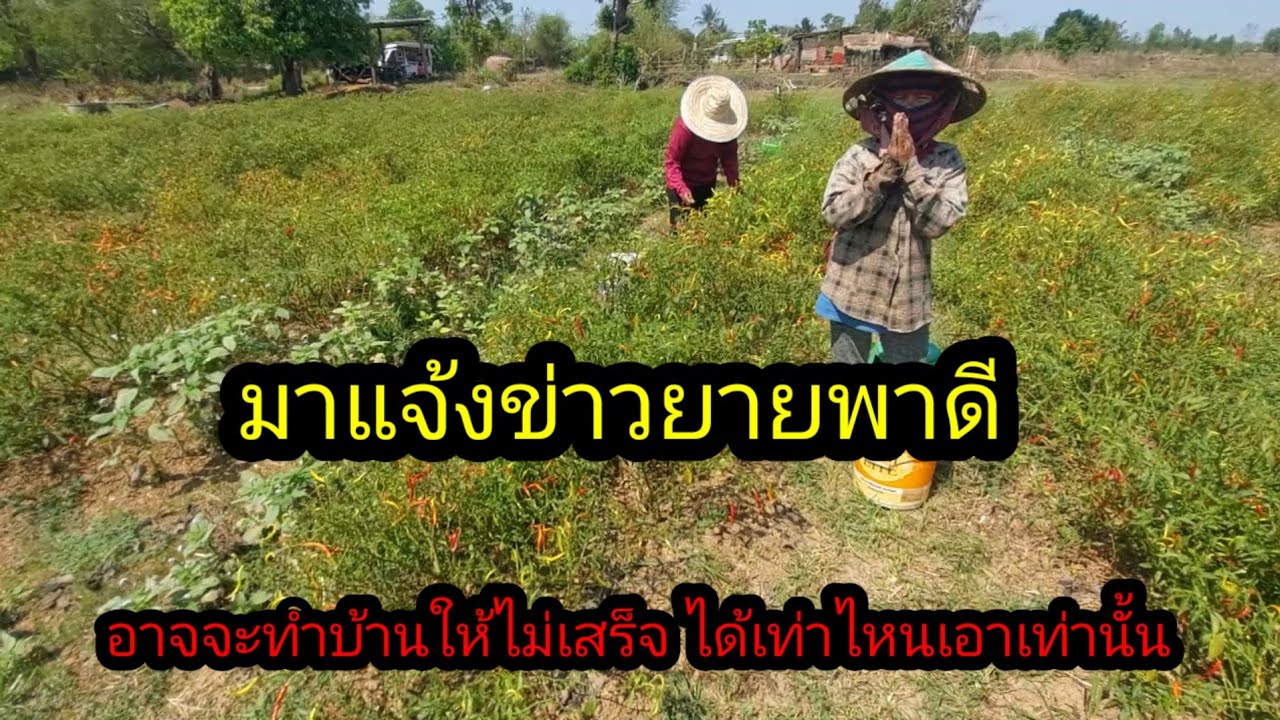 มาแจ้งข่าวยายพาดี ภาพสร้างบ้านให้ อาจจะไม่เสร็จ 100% ทำเท่าที่ทำได้#จิตอาสา 