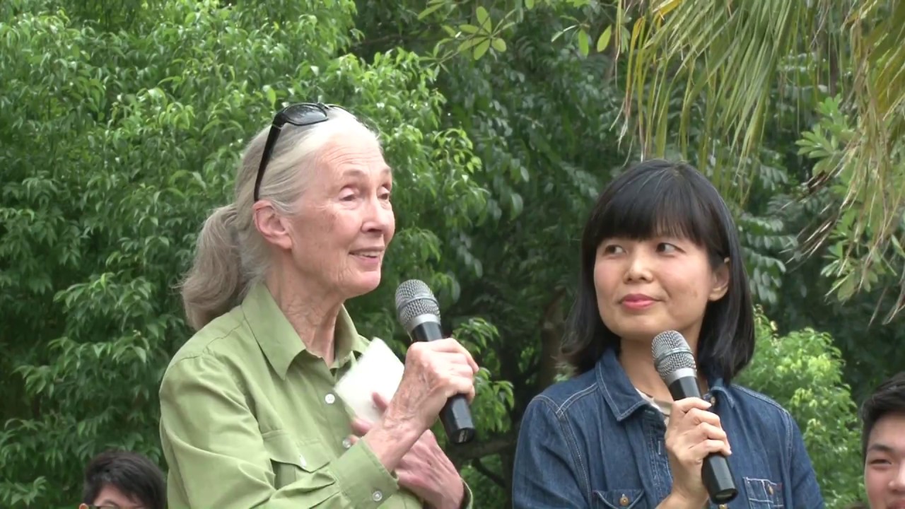 珍古德長大演講 種下希望之樹籲環保│長大電視 CJCU TV