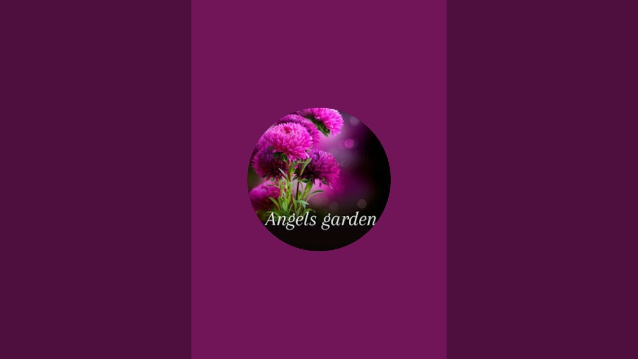 Angels Garden is live