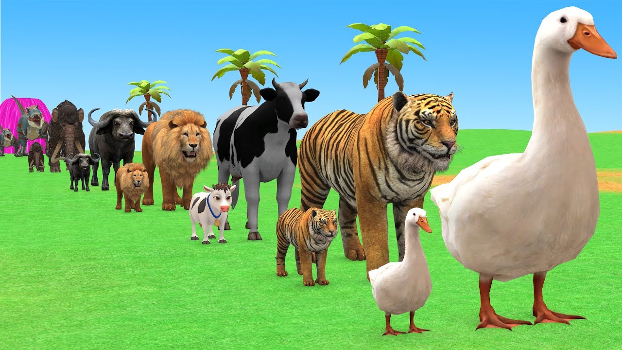 Long Slide Game with Cow Elephant Gorilla Hippopotamus Tiger 3d Animal Game Funny 3d Animals