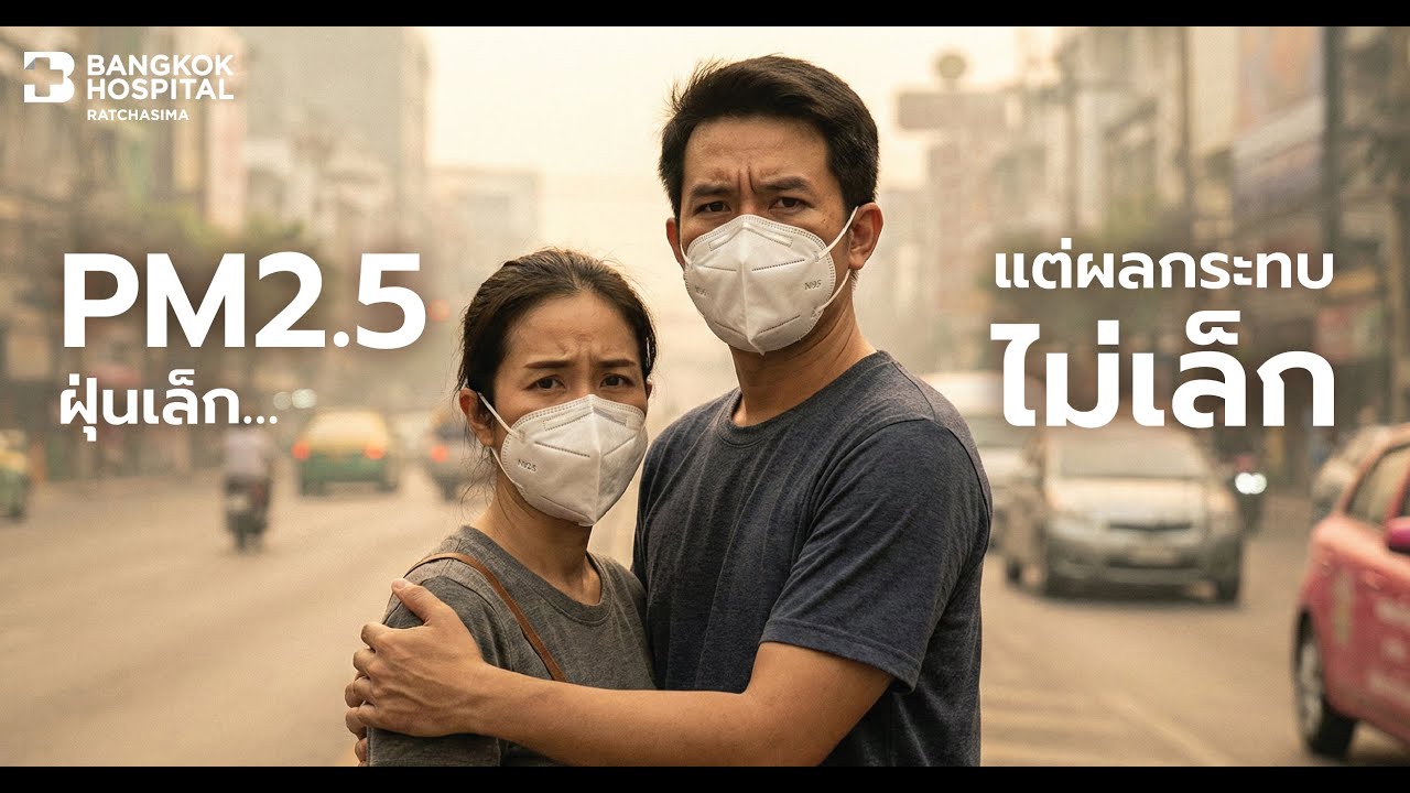 PM 2 5 ฝุ่นเล็ก…แต่ผลกระทบไม่เล็ก