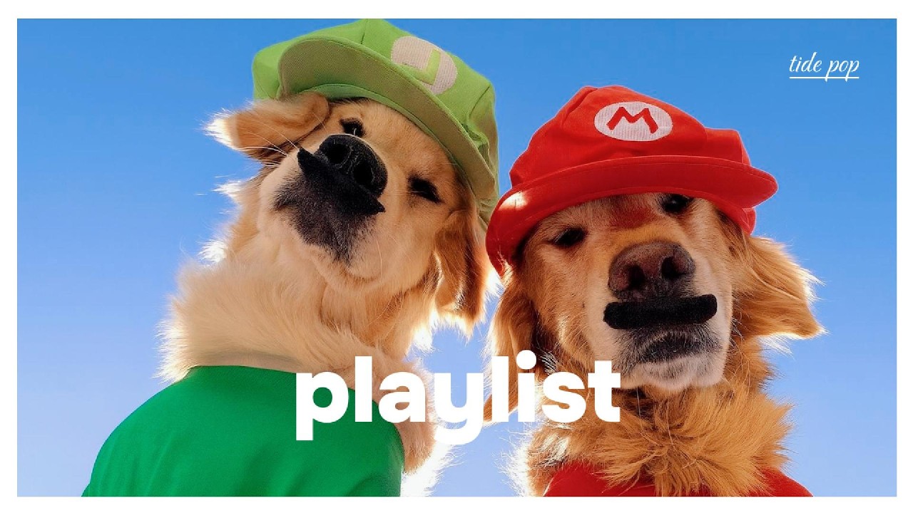 PLAYLIST | Включив это, я чувствую себя хорошо, серьезно 🎶✨ Эмоциональный поп летних выходных